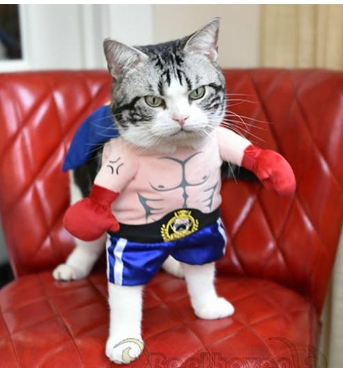 Cat Boxer Costume
