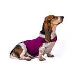 Anxiety Summer Medical Treatment Jacket Vest To Calm Down Pet