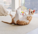 Funny Self-hey Interactive Toy Rope Grabbing Mouse Telescopic Hanging