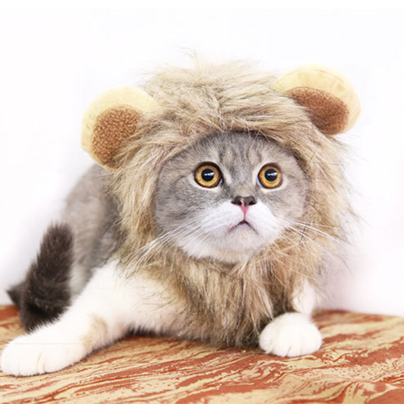 Funny Pet Hat Emulation Lion Hair Mane Ears Head Cap Scarf Halloween Festival Costume