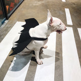 Dog Bat Wings