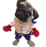 Cat Boxer Costume