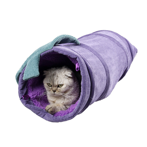 purple-eggplant