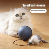 Electric Mouse Teaser Ball Moving Toy