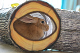 Tree Pattern Tunnel For Cats