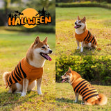 Halloween Pet Sweaters Costume Teddy Warm Leisure Cosplay Clothes