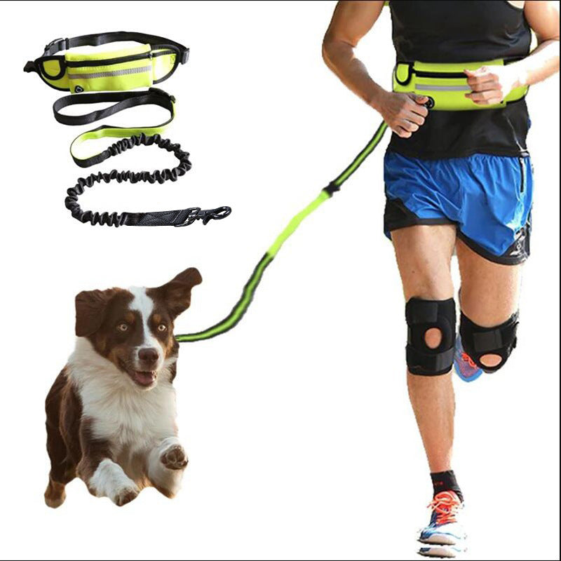 Hands Free Dog Leash Pet Walking And Training Belt With Phone Pocket And Water Bottle Holder