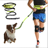 Hands Free Dog Leash Pet Walking And Training Belt With Phone Pocket And Water Bottle Holder