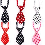 Dog Ties For Kids