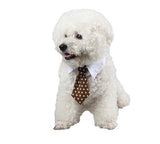 Pet Bow Tie Cartoon Print