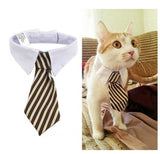 Pet Bow Tie Cartoon Print