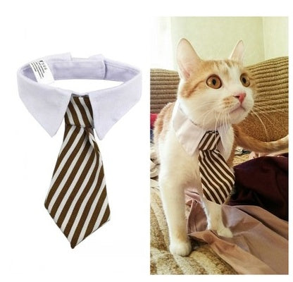 brown-and-white-stripes