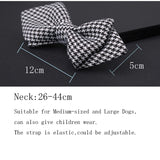 Dog British Bow Tie