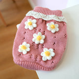 Bowknot Hollow Knit Pet Sweater