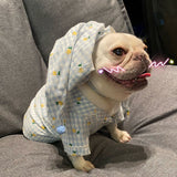 Pets Favorite Teddy Schnauzer