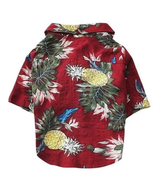 hawaiian-red