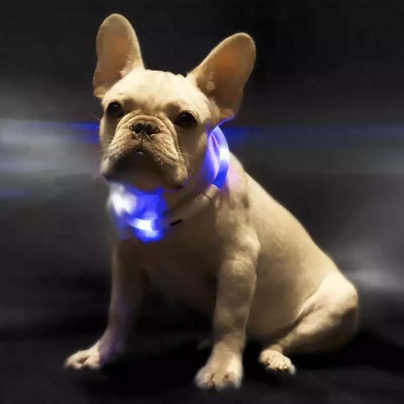 Pet LED Light Collar Anti-Lost Collar