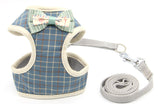 Pet Traction Rope Walking Chain Artifact