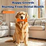Toothbrush Chew Stick Bones For Pet Dental Care