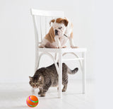 Cat/Dog Wicked Ball Toy Intelligent Ball Automatic Self Rotating Ball