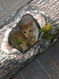 Tree Pattern Tunnel For Cats