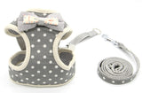Pet Traction Rope Walking Chain Artifact