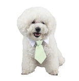 Pet Bow Tie Cartoon Print