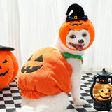 Pet Halloween Pumpkin Vest Festive Harness Thanksgiving Christmas Apparel