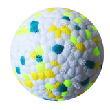 Dog Bite Resistant Molars Interactive Chew Ball