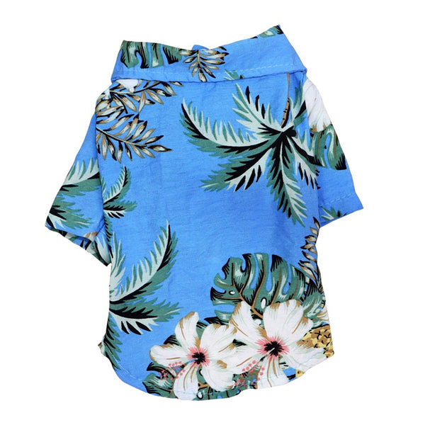 coconut-tree-blue1
