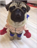 Cat Boxer Costume