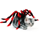 Pet Halloween Creative Spider Costume