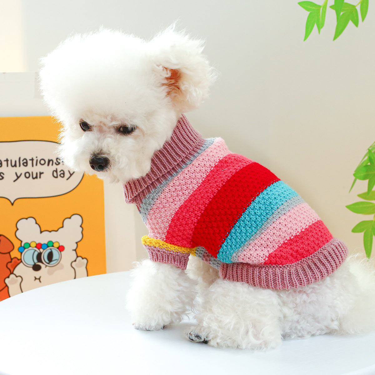 Pet Ring Comfortable Colorful Stripes Sweater