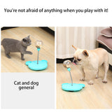 Pet Feeder Leaking Food Ball Self-Playing Tumbler Swing Puzzle Training Dispenser Bowl