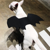 Dog Bat Wings