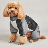 Pet Winter Color Matching Cotton-Padded Jumpsuit Warm And Comfortable