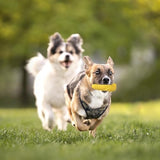 Indestructible Corn Stick Chewing Tough Durable Squeaky Teeth Cleaning