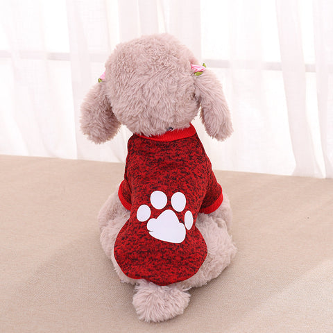 Pet Two-legged Sweater Teddy