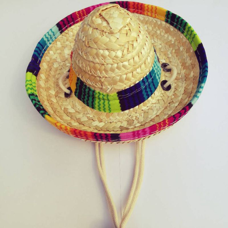 Straw Woven Mini Pet Straw Mexican Sun Hat