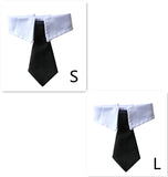 Pet Bow Tie Cartoon Print