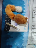 Long Tail Pet Teaser Mouse