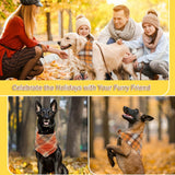 Pet Bandana With Tassels Edges Classic Plaid Triangle Scarf