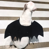 Dog Bat Wings