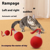 Interactive Toy Ball Super Drive Cat/Dog Rolling Ball