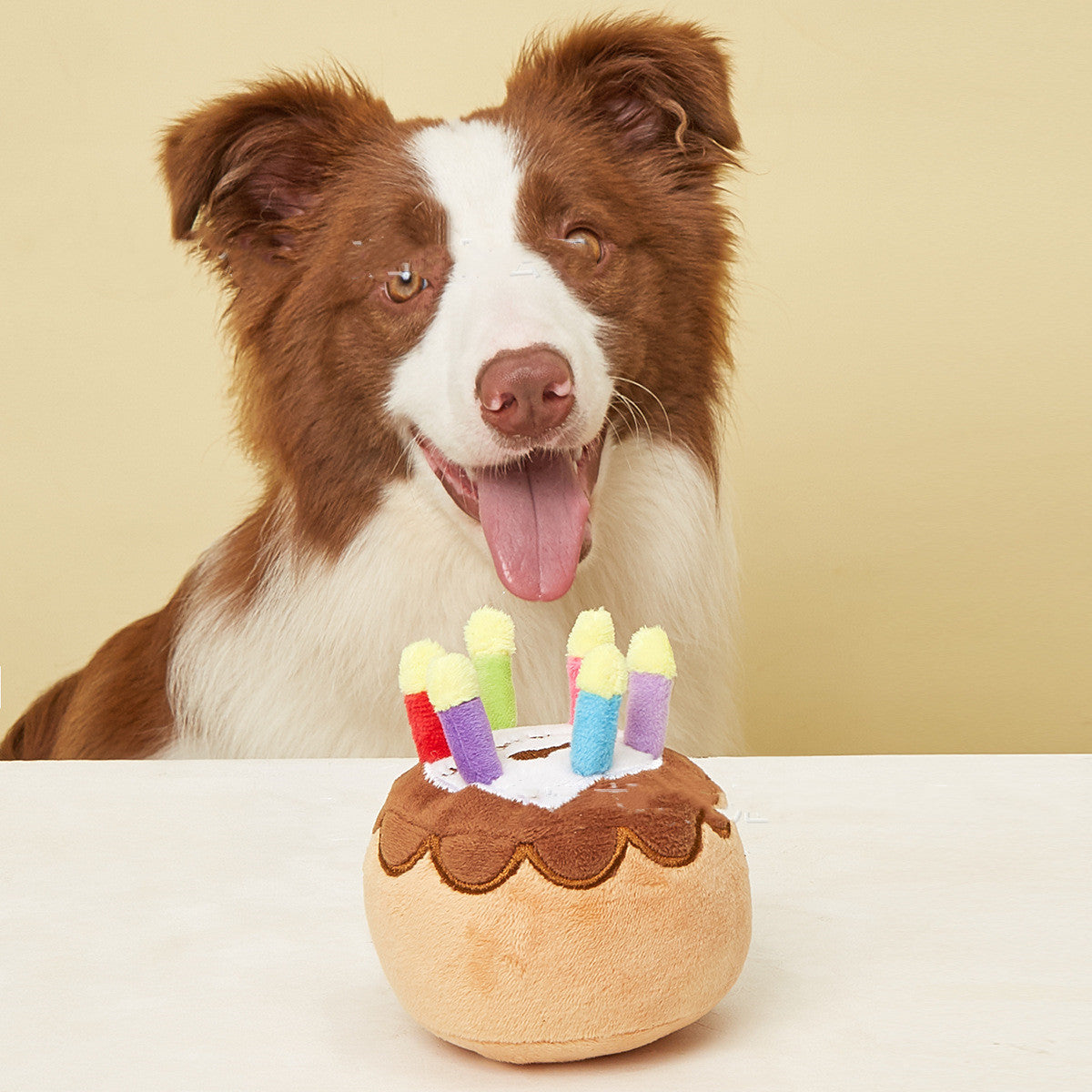 Pet Plush Birthday Candle Cake