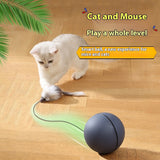 Electric Mouse Teaser Ball Moving Toy