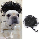 Pet Halloween Christmas Wig Hair