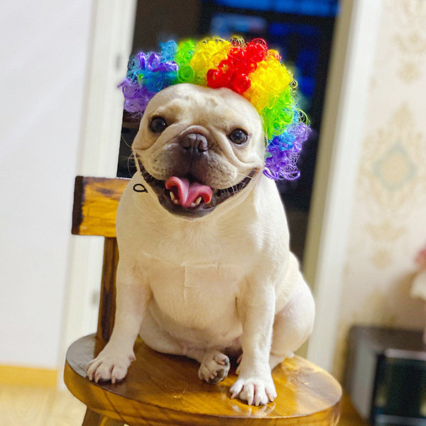 clown-wig