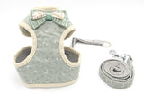 Pet Traction Rope Walking Chain Artifact