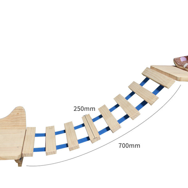 suspension-bridge-ladder